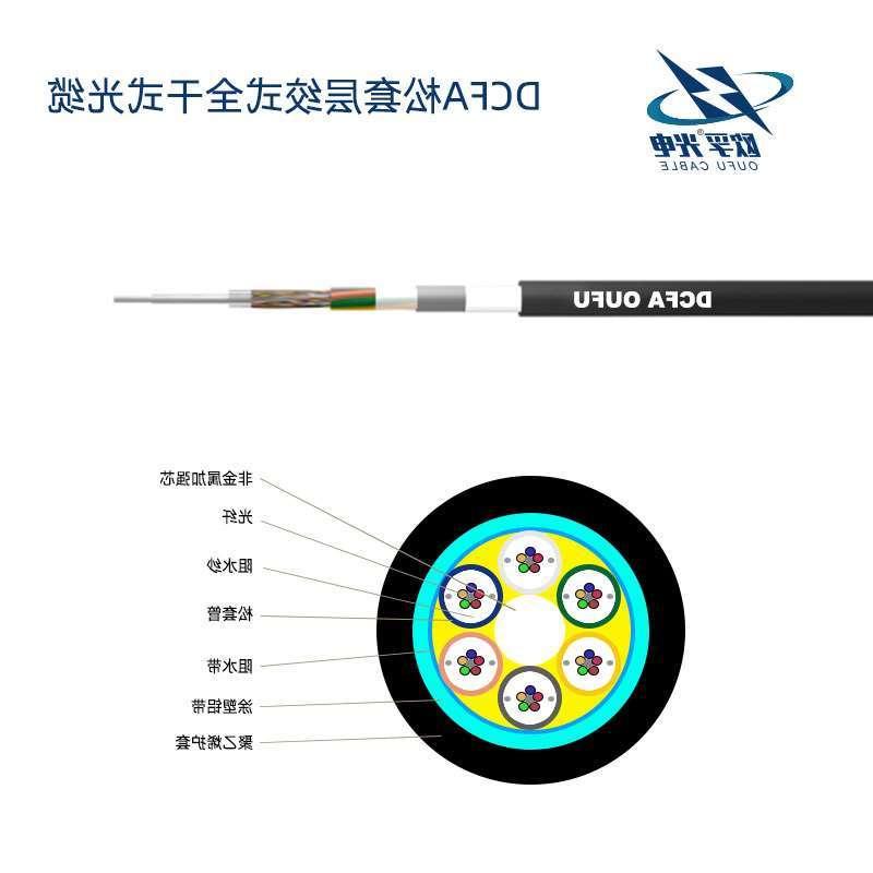 巴音郭楞蒙古自治州DCFA光缆