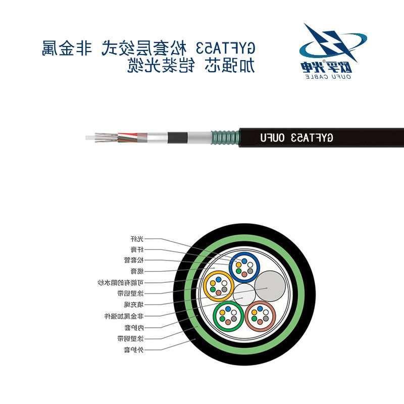 宁德市GYFTA53光缆